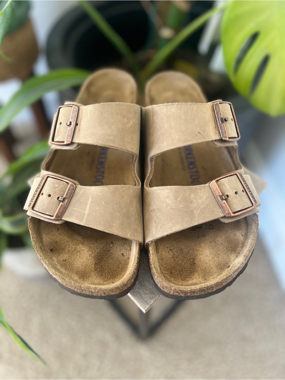 Arizona Sandal w/Copper Buckles - Birkenstock